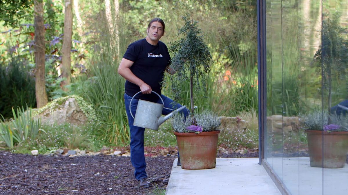 brico 0922 3 caviar citrico detalle final