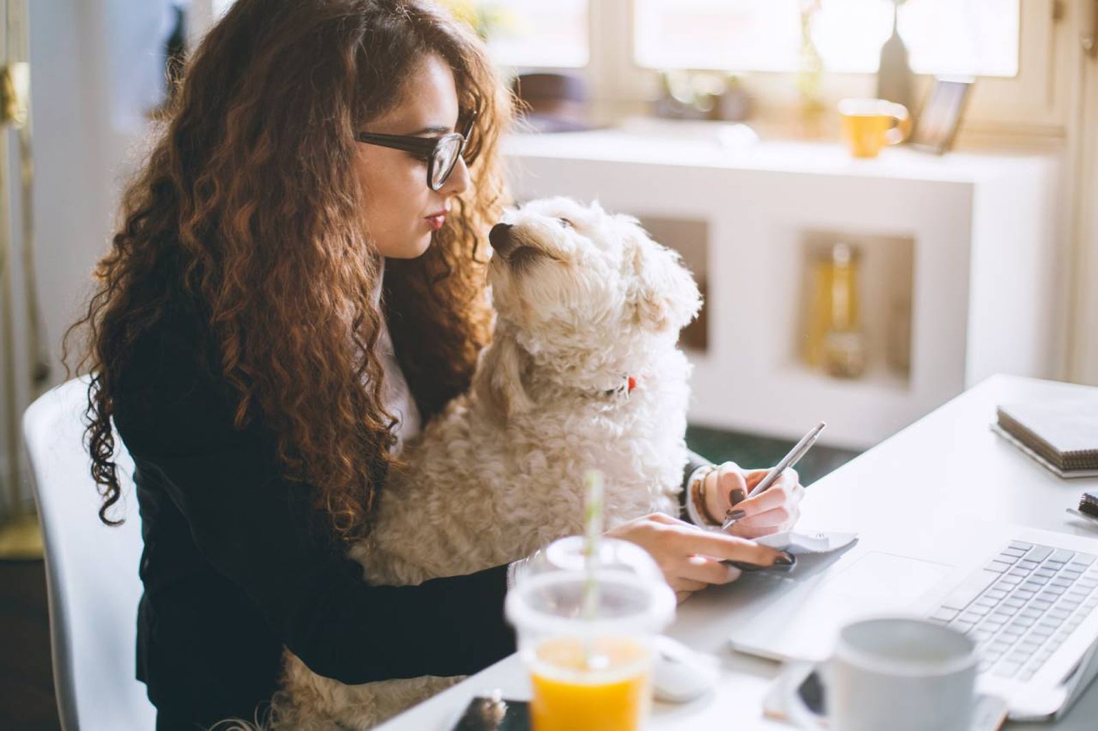 En términos generales no se pueden desgravar los gastos relacionados con tu mascota.