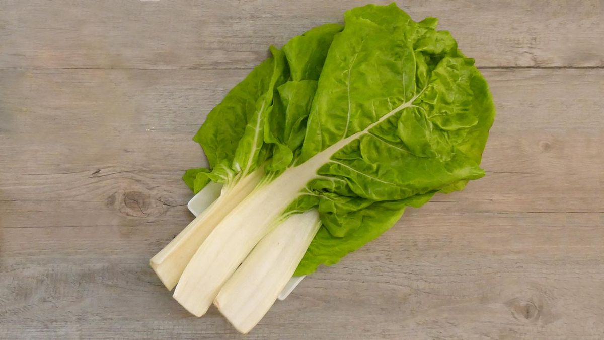 Cómo limpiar acelgas frescas  acelgas frescas