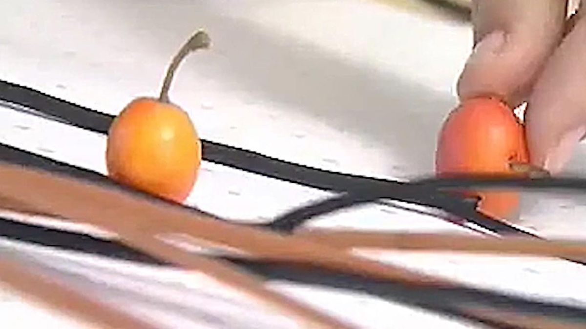 Cómo hacer cuadros con elementos naturales p4