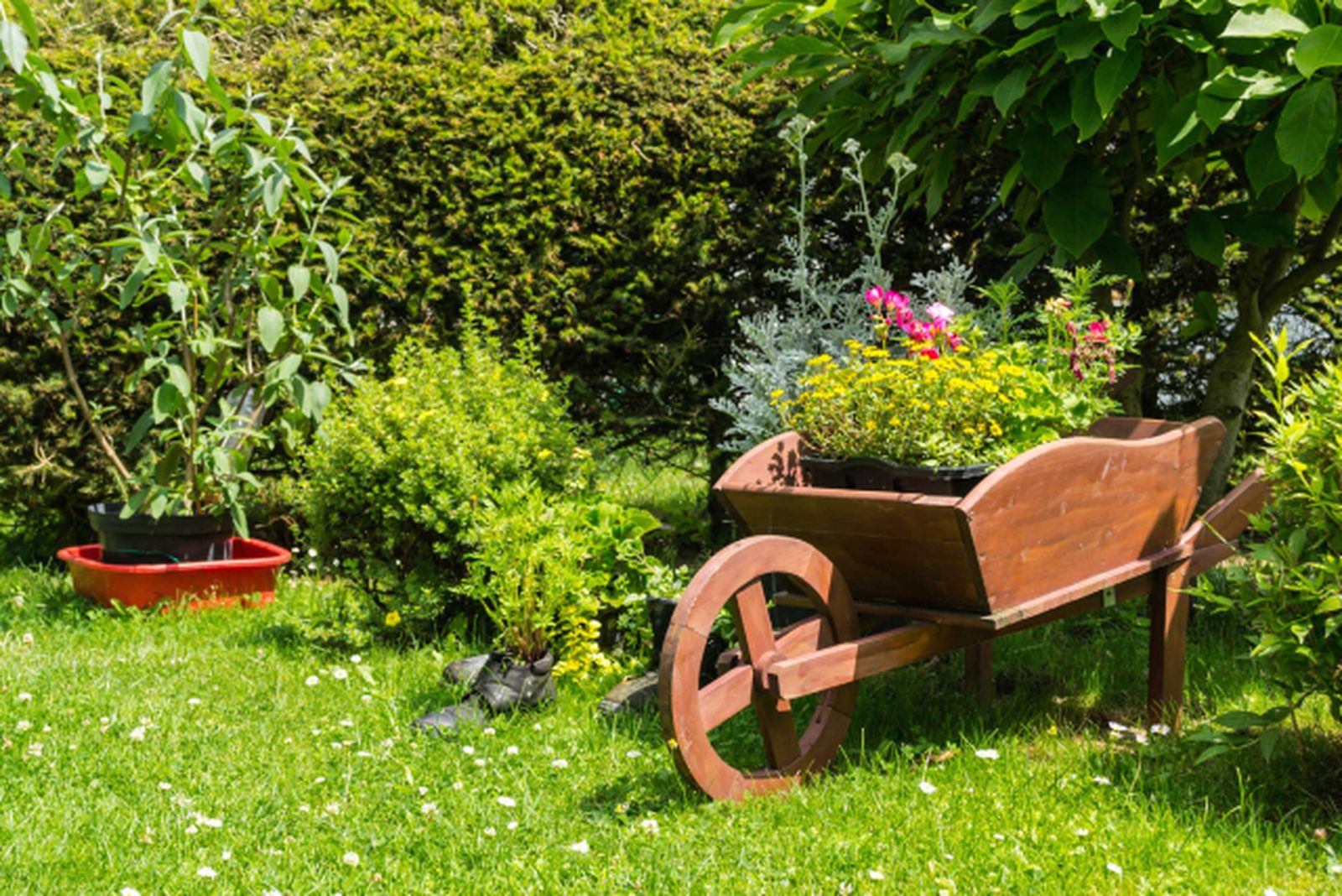 decorar el jardin con carretillas con plantas 7