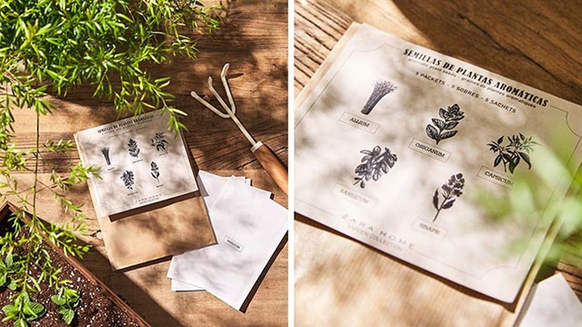 semillas aromaticas zara home