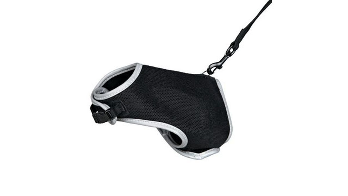 arnes para gatos tiendanimal