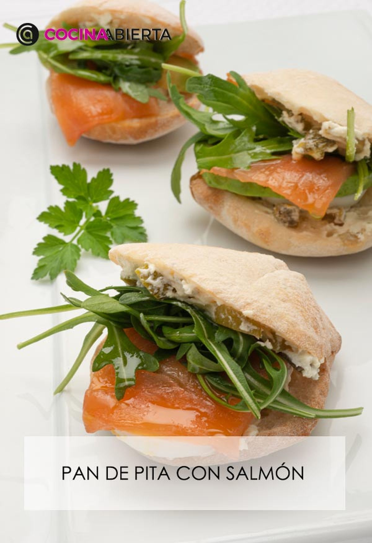 karl6697 pan salmon v