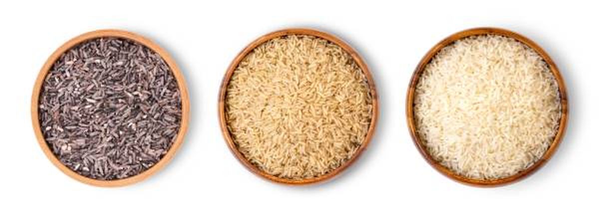 tipos arroz