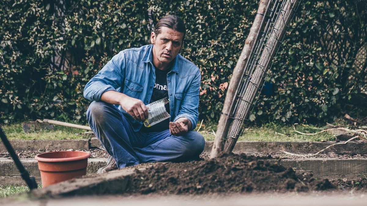 993 jardineria estructura pepinos semillas