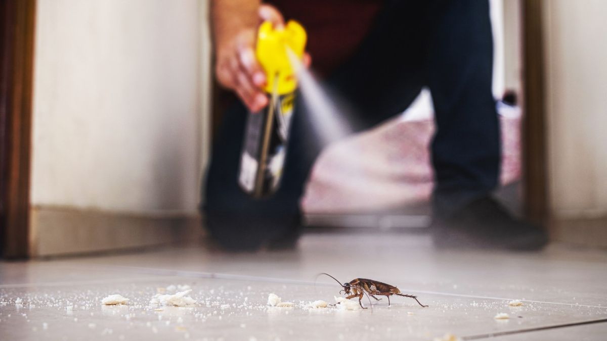 insecticida gel para eliminar cucarachas