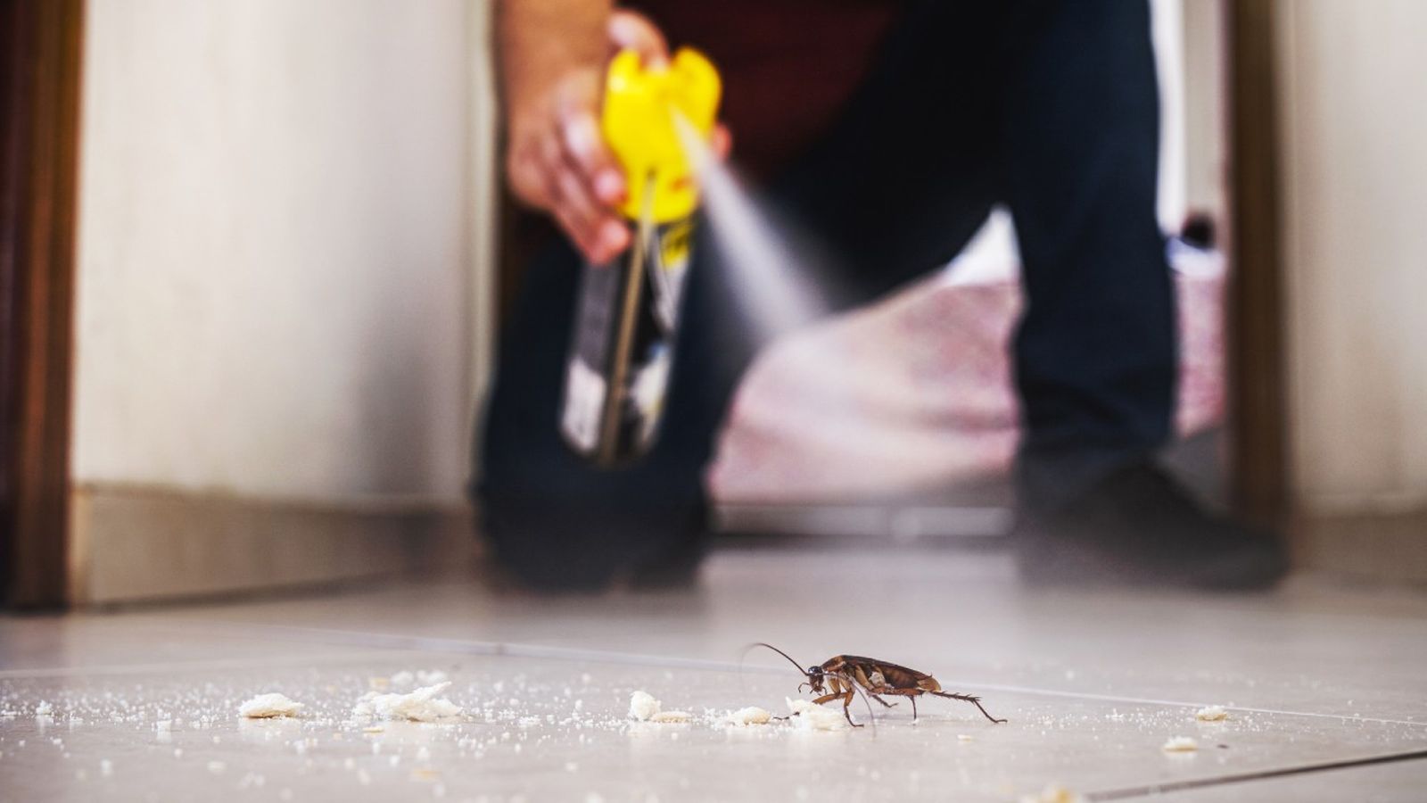 insecticida gel para eliminar cucarachas