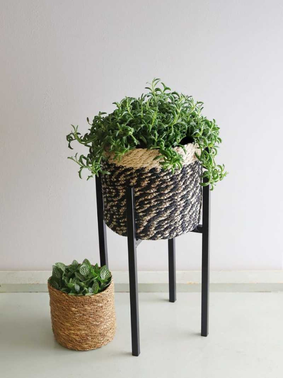 Soporte para plantas Ascot