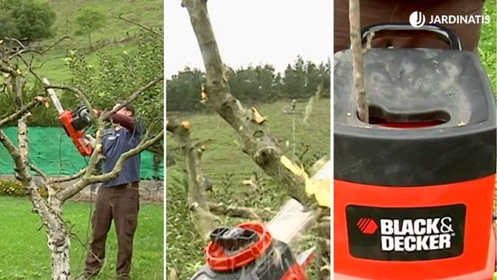 que es apeo talado arboles brico 723