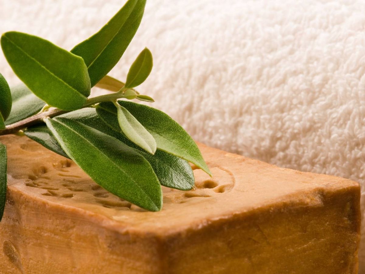 El aceite de laurel, ingrediente clave del jabón de Alepo, aporta propiedades antisépticas.
