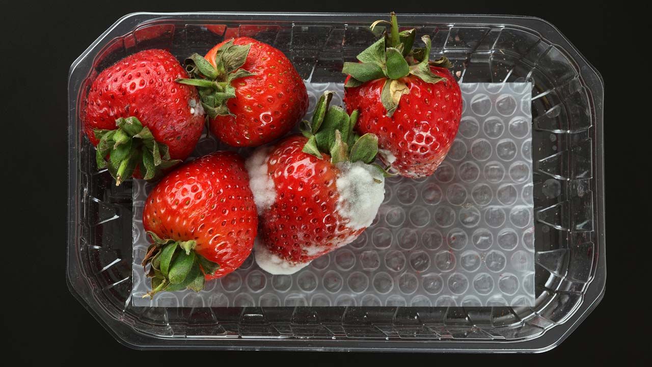 lavar frutas 3