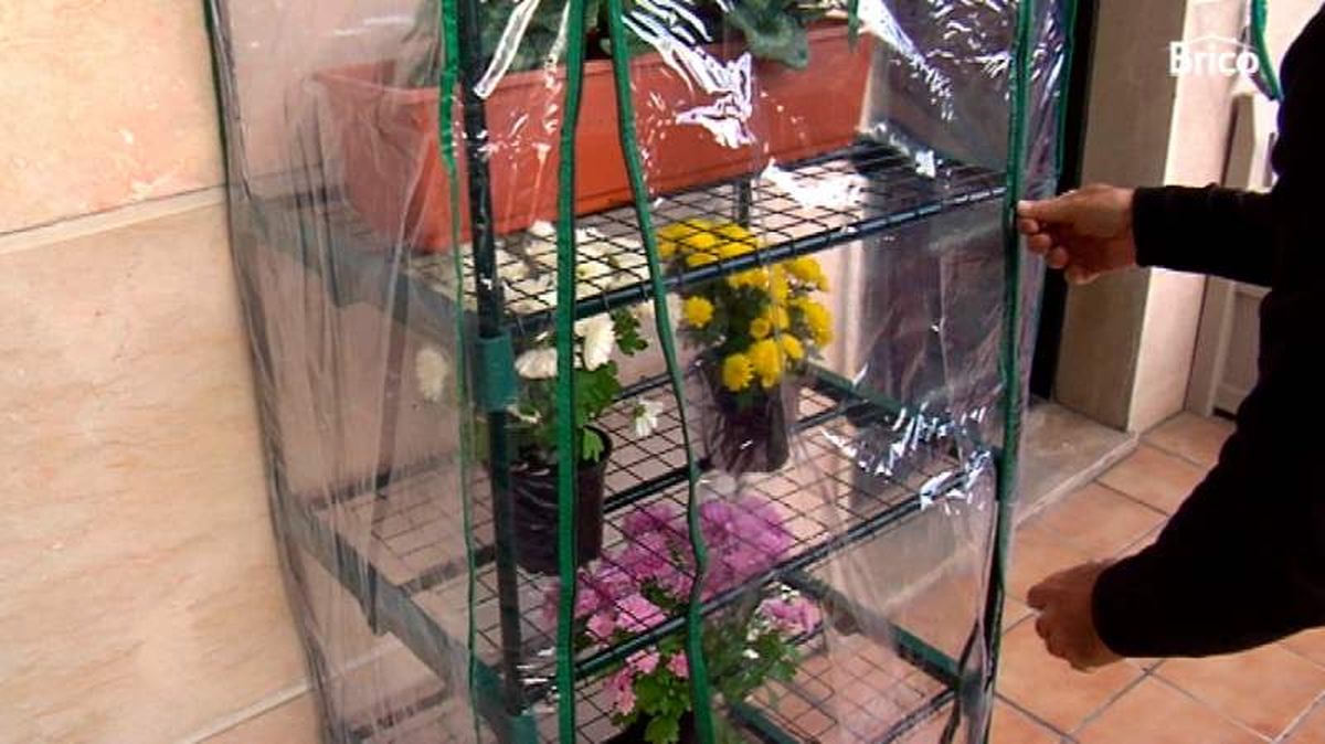 Flores en invernadero de balcón