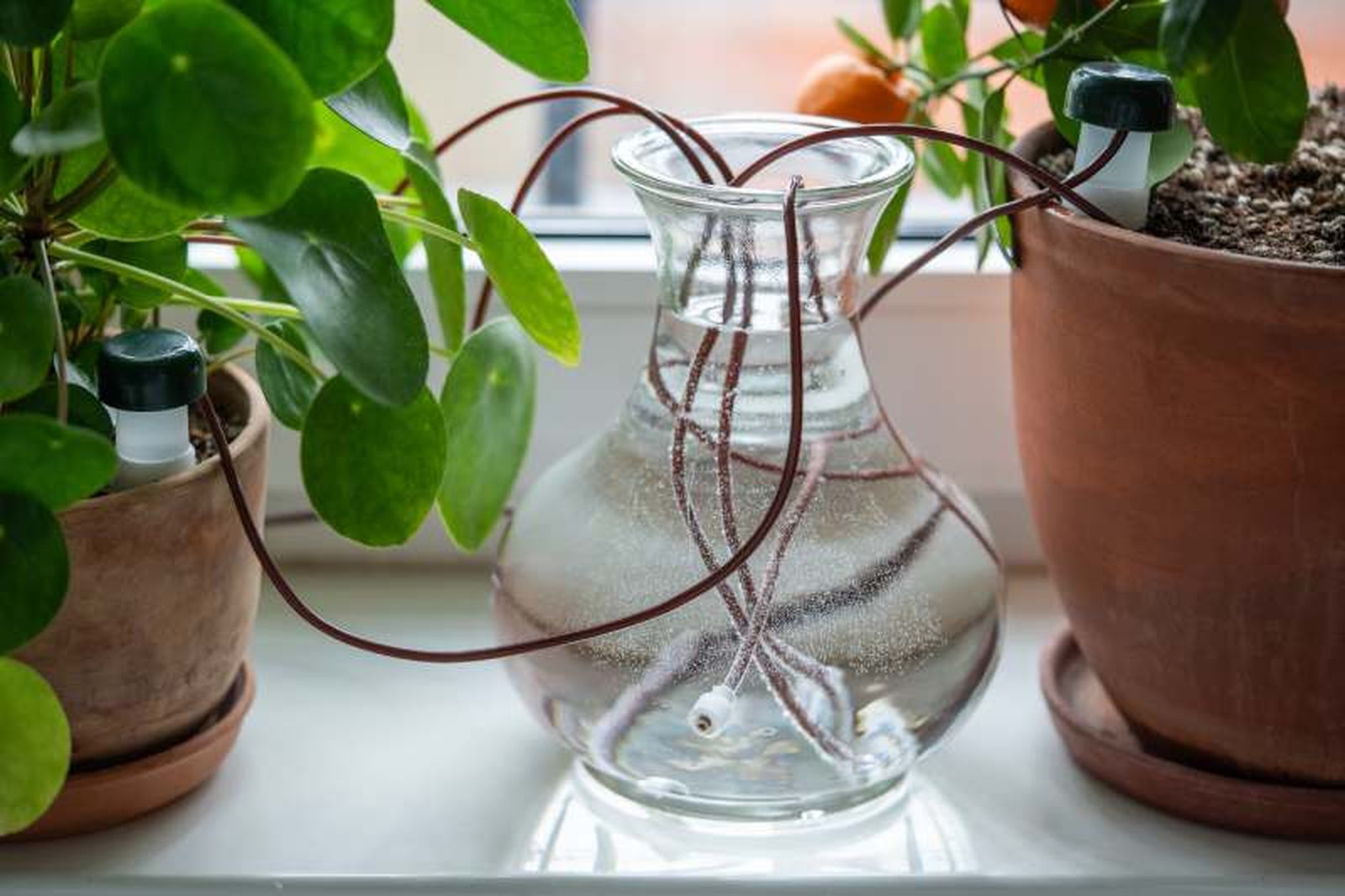Riega tus plantas con el agua que sale del aire acondicionado