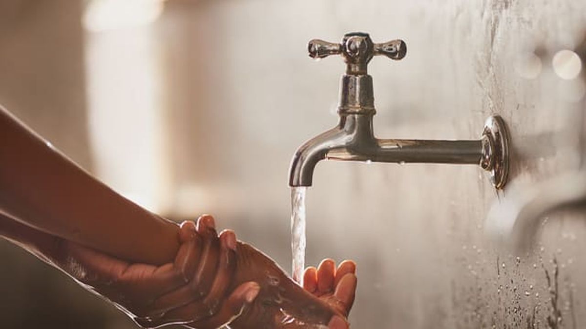 Bricomania 013 grifo individua