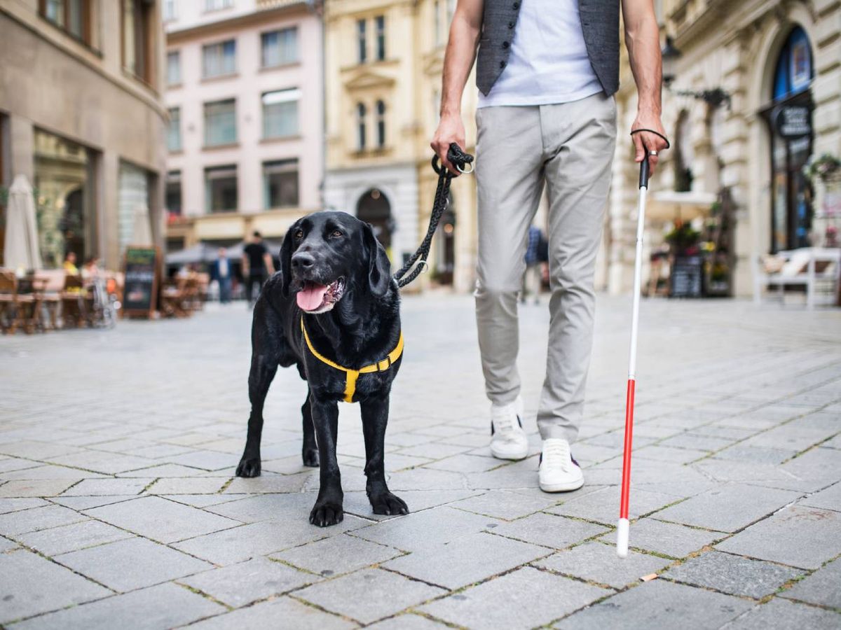 Están preparados para actuar con responsabilidad en cualquier situación pública.