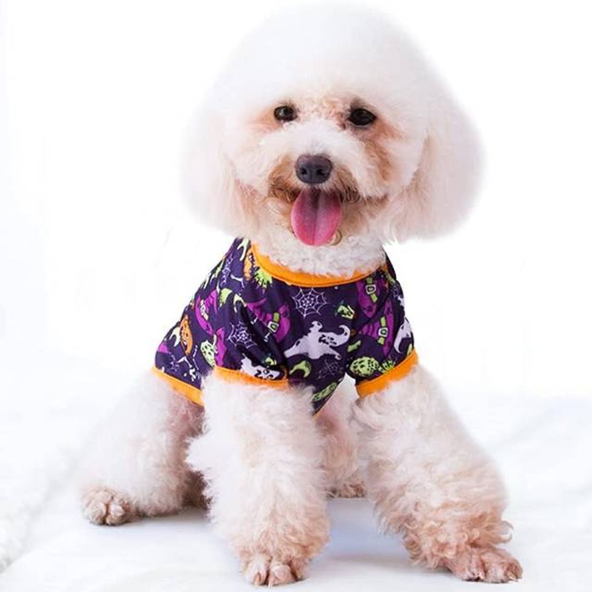 prendas ropa mascotas halloween 7