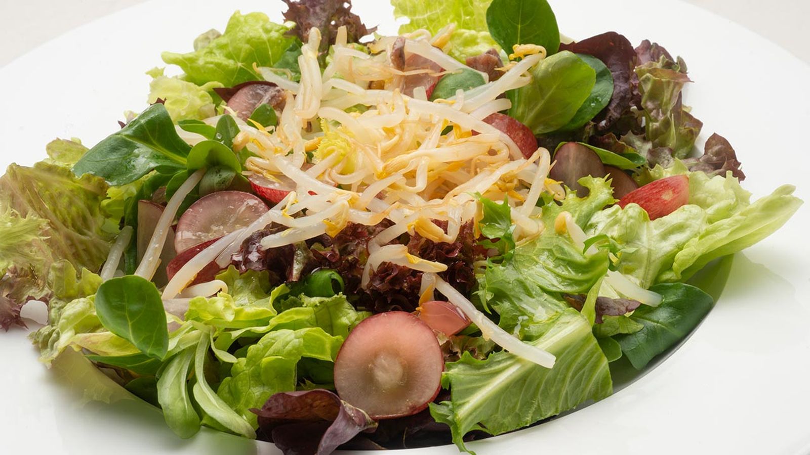 karl6552 ensalada germinados xl