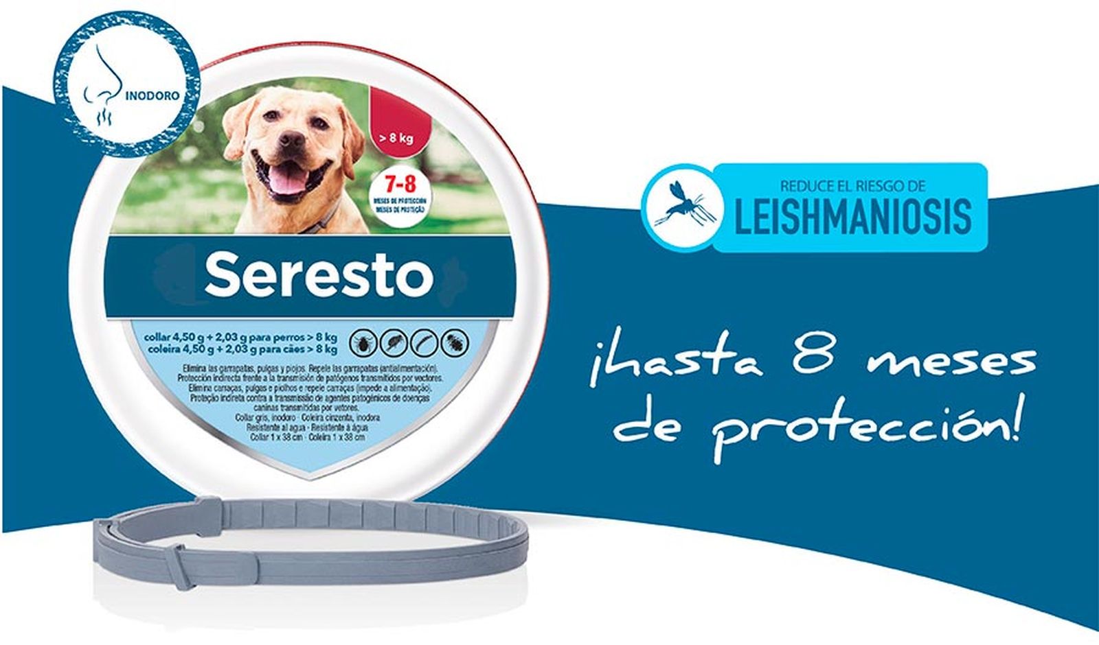 repelentes caseros contra pulgas garrapatas collar seresto