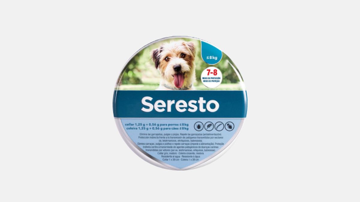 collares antiparasitarios para perros modelo 5