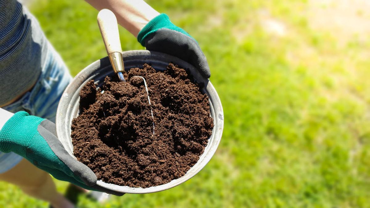 como hacer sustrato xl