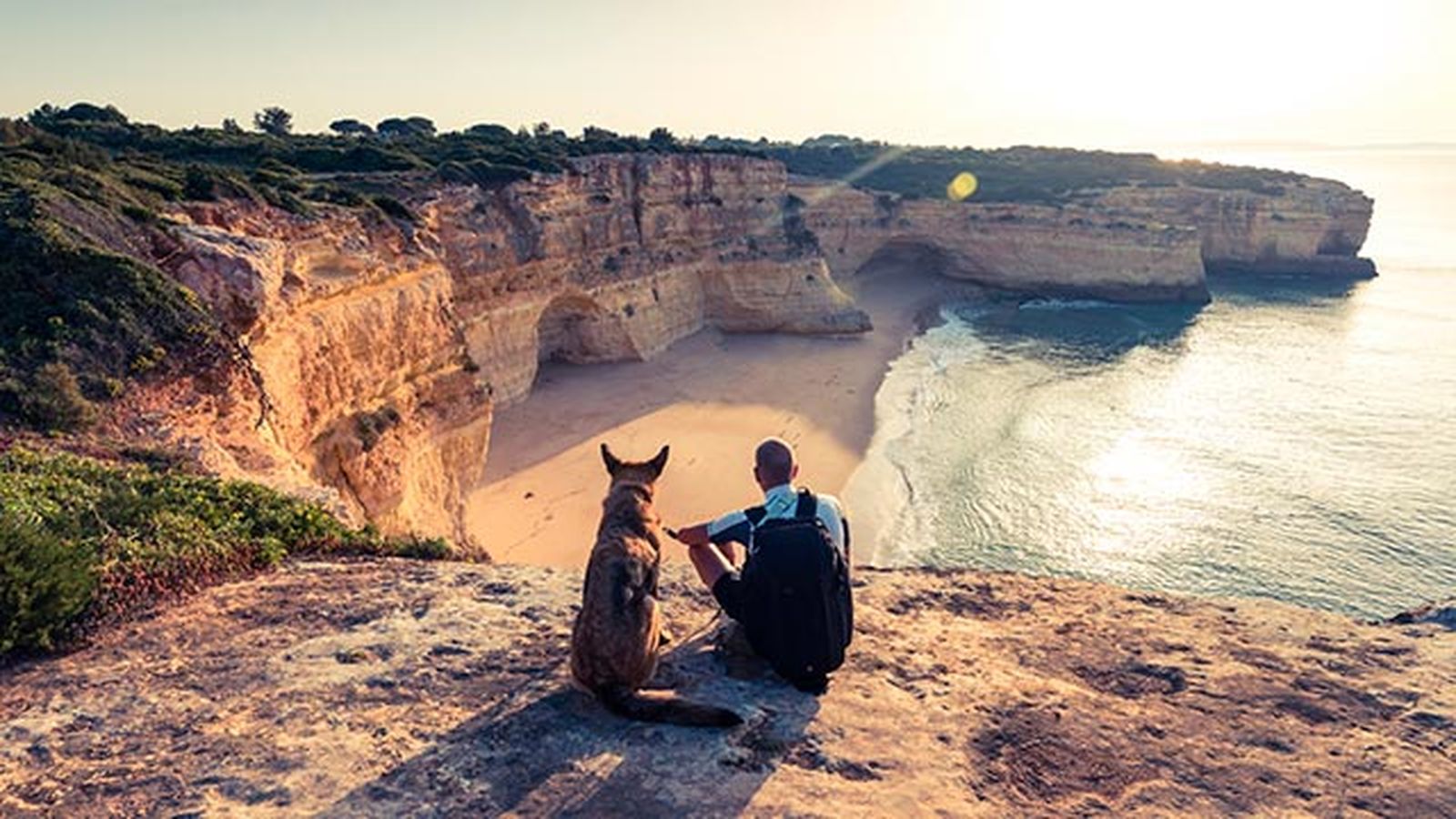 alojamientos playas aptas mascotas vacaciones 6 perro