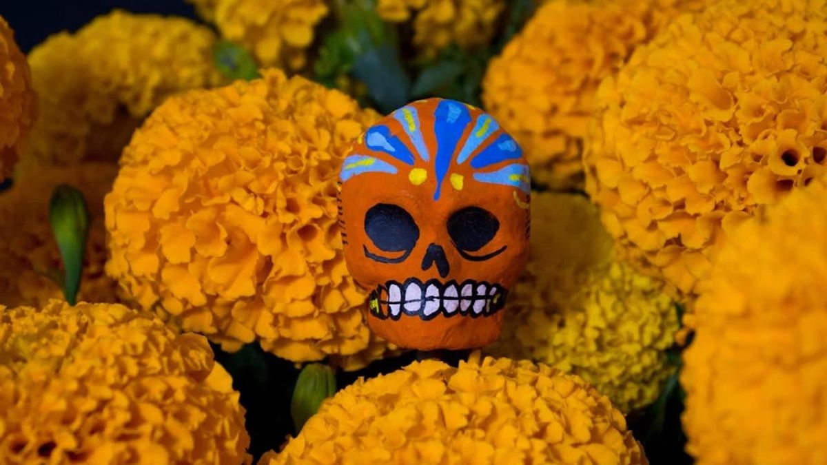 Flor de los muertos, México.