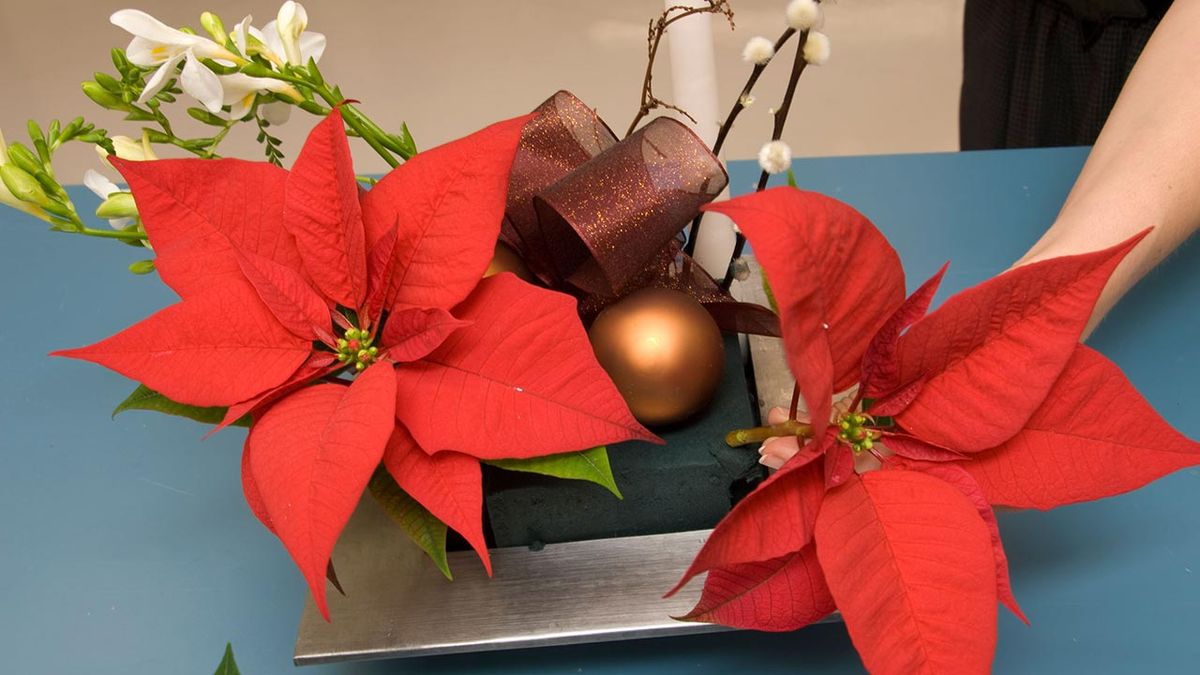 205 vestir mesa para navidad p04