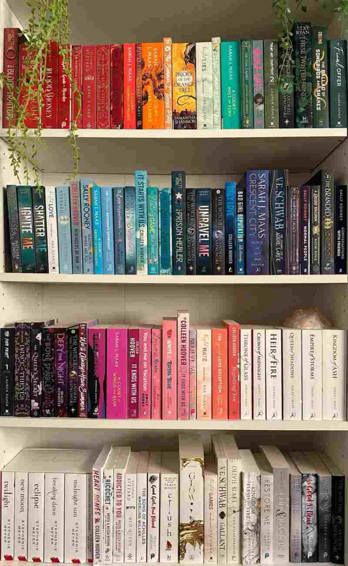 Estantería con libros organizados por color