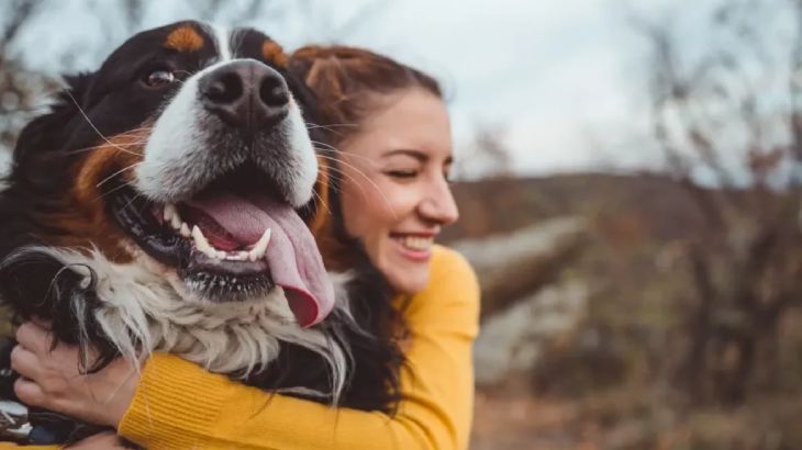 bonitas frases de perros y duenos 3