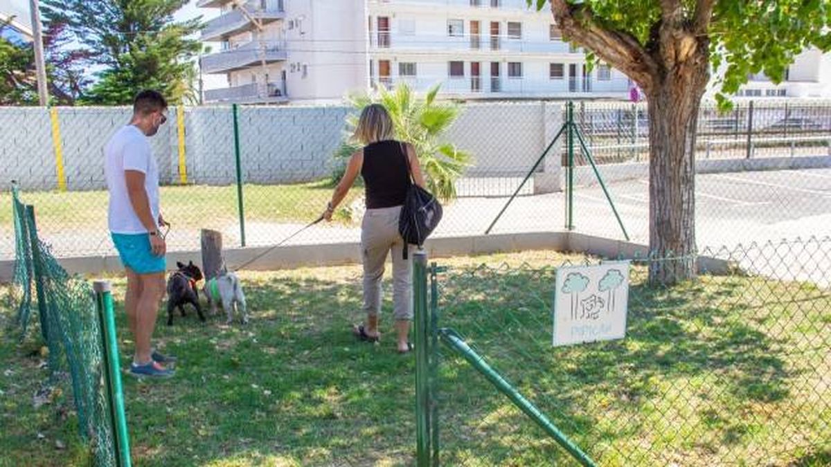 Camping dogfriendly admite mascotas Sanguli Salou Tarragona pipi can