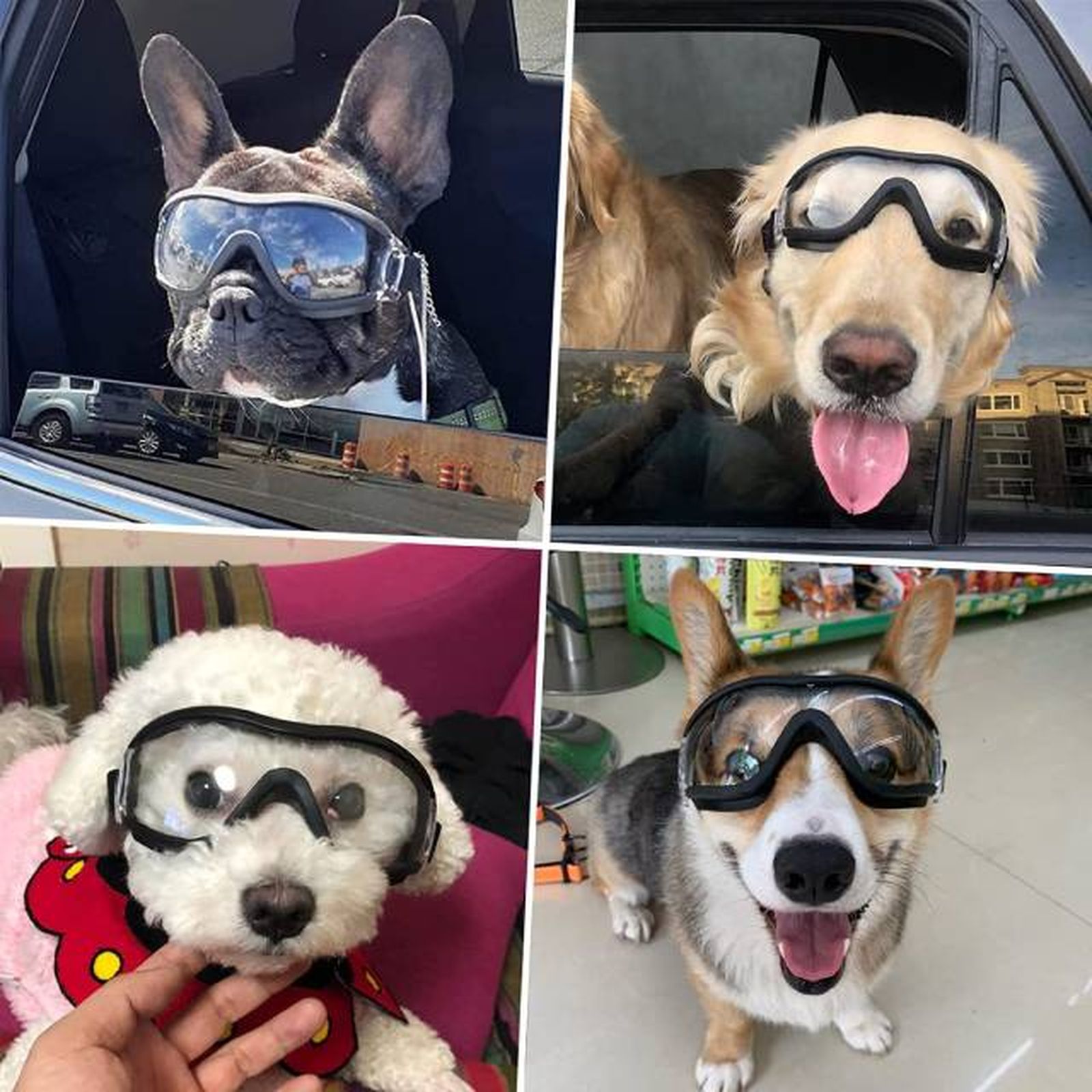 gas de sol para perros las mas vendidas amazon