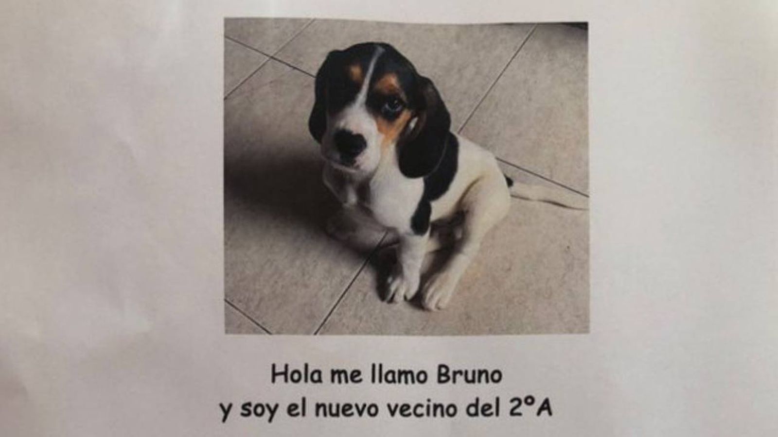 Este anuncio que ha sido bien recibido por la comunidad vecinal