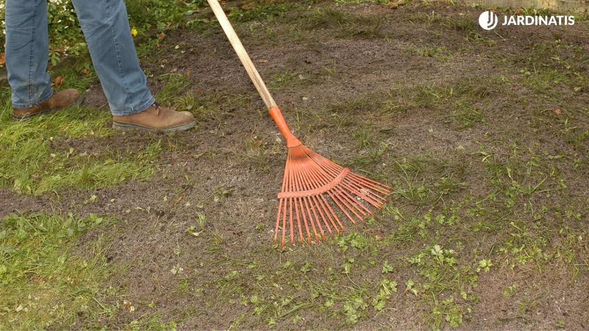 Distribuyendo el recebo sobre el césped