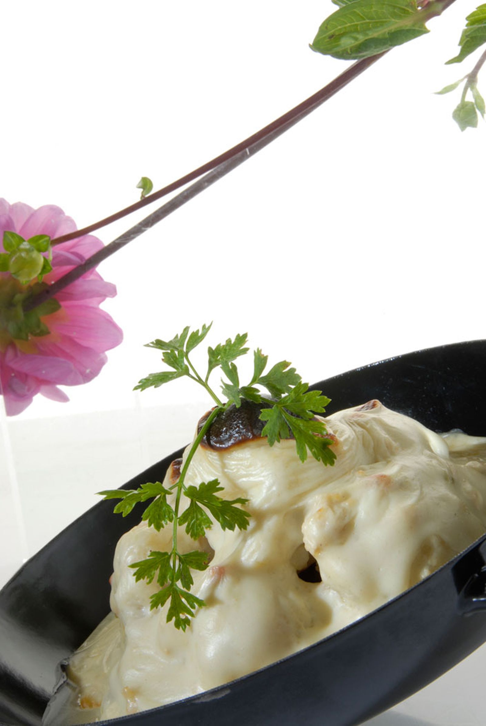 Coliflor con bechamel de pollo