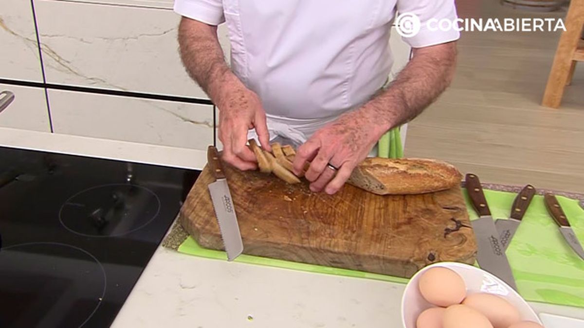 karl6764 revuelto habitas p1