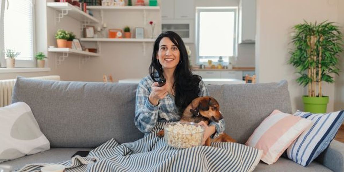 peliculas de perros 2