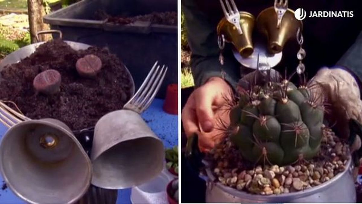 sustrato para plantacion de suculentas en tiestos reciclados brico 827