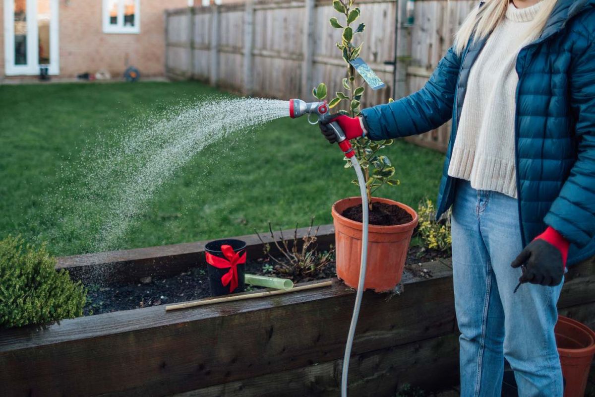 Regar plantas de exterior en invierno.