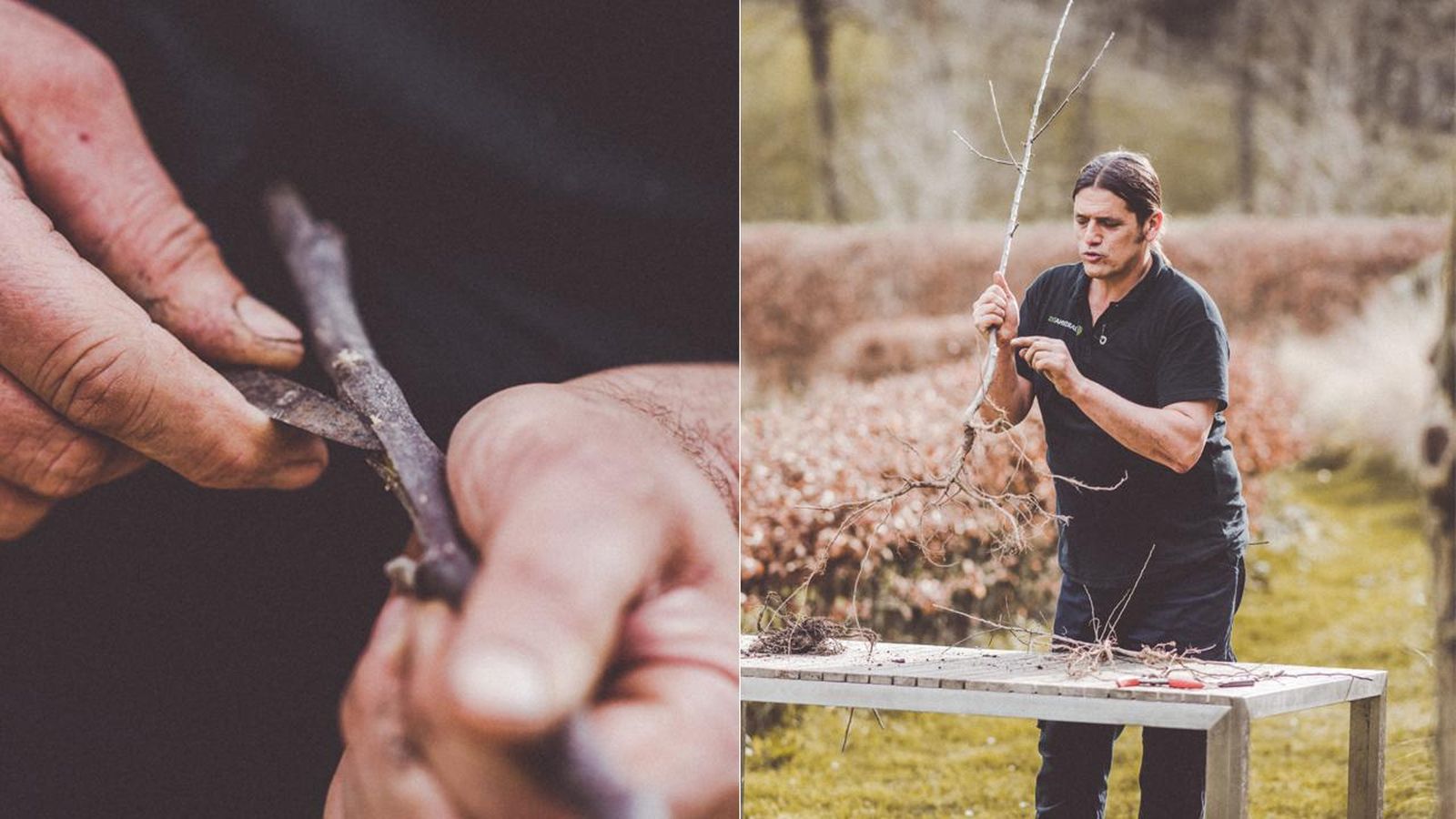 brico 1022 manzano injertado xl