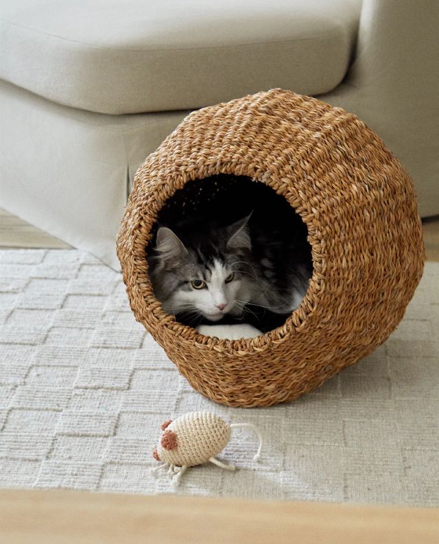 cama mascotas gato