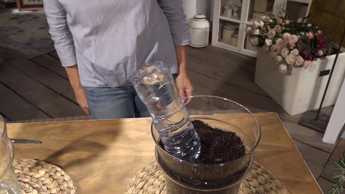 formas regar botellas plastico 6