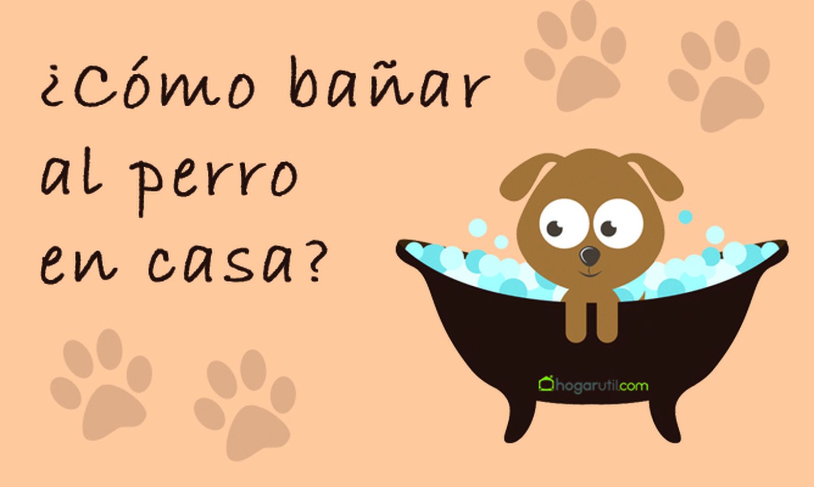 Cómo bañar al perro en casa