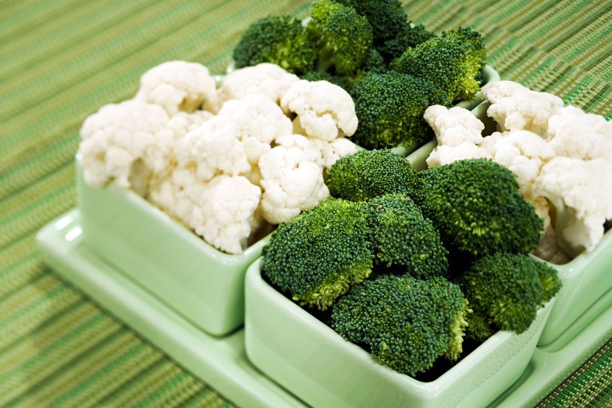 514 nutricion coles xl