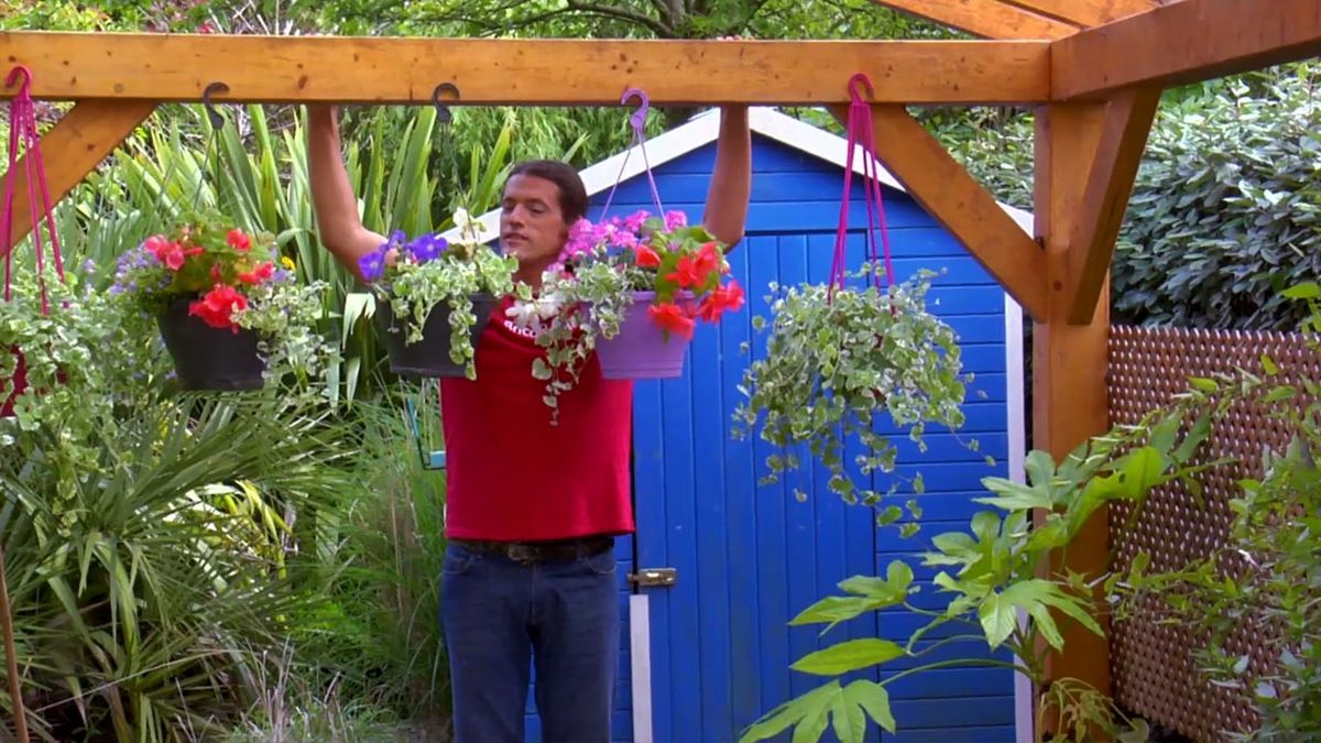 brico 794 jardin plantas colgantes verano