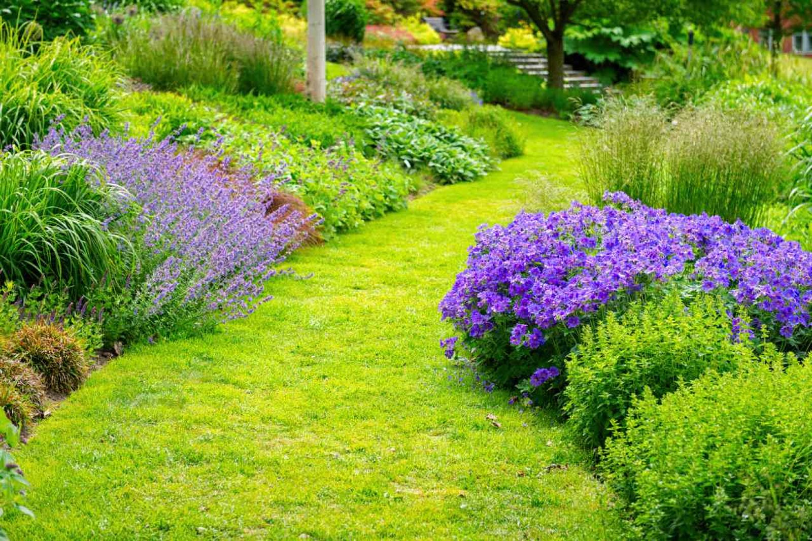 Sembrar semillas en un suelo areno es muy sencillo