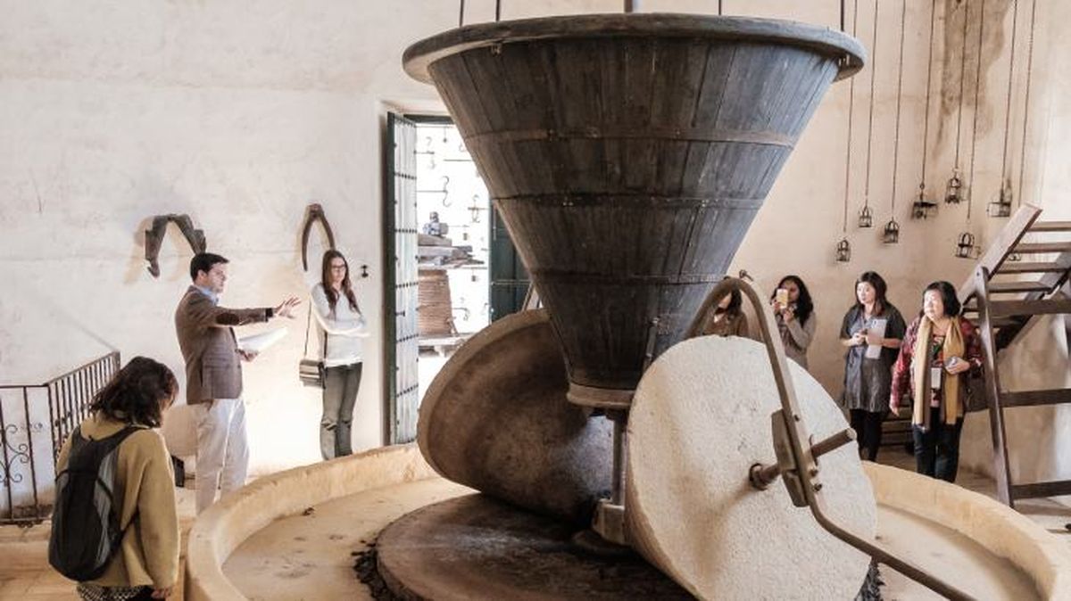 Un guía muestra el molino del siglo XVII a un grupo de oleoturistas