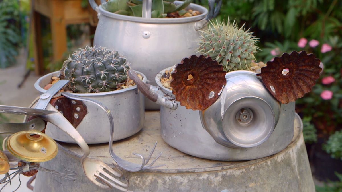 brico 933 3 kalanchoe beharensis bicho tiesto