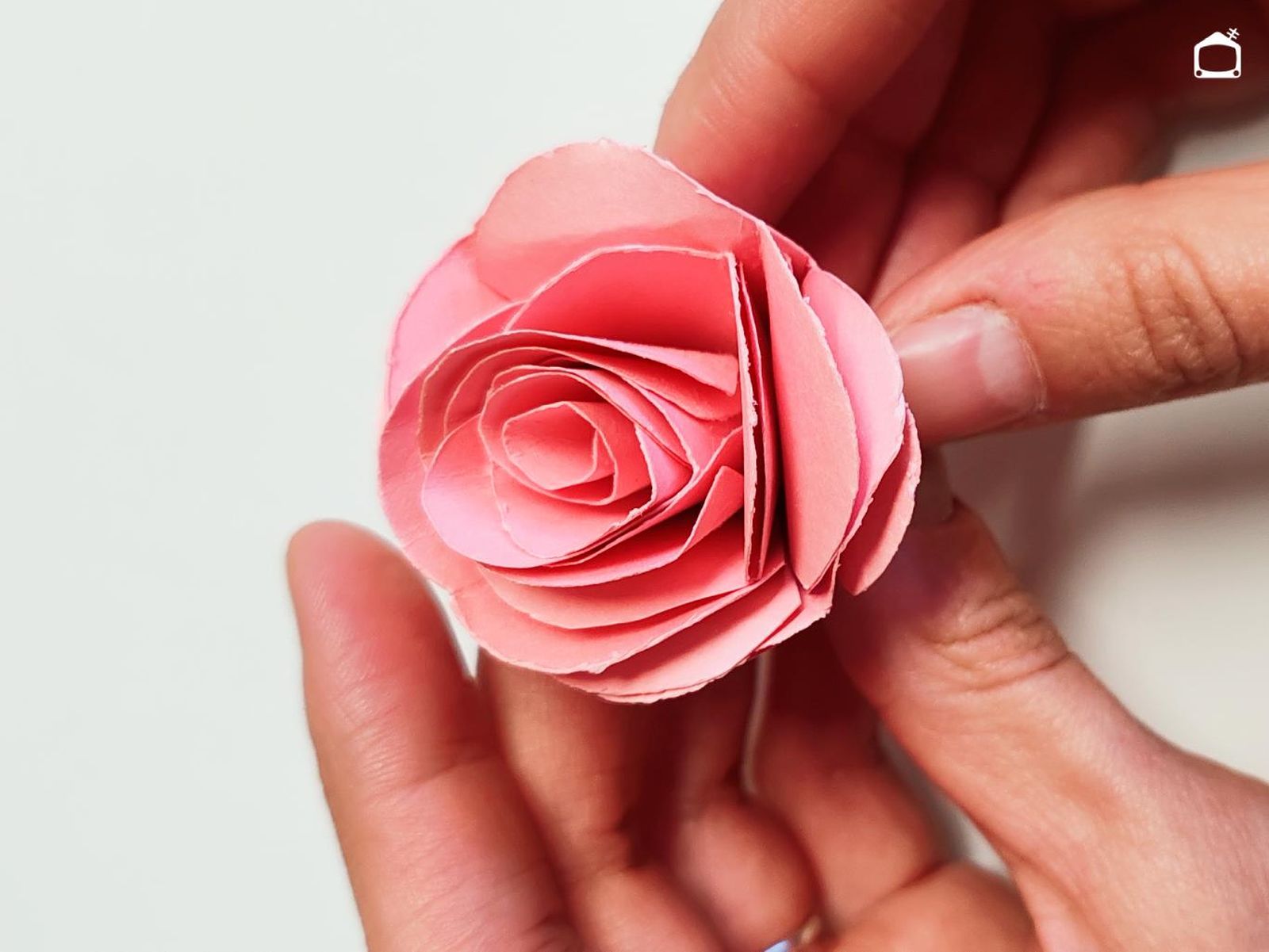 Rosa de papel.