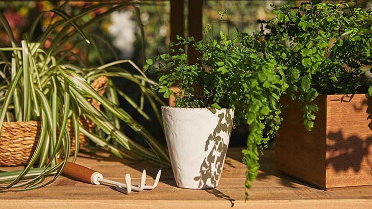 maceta envejecida zara home